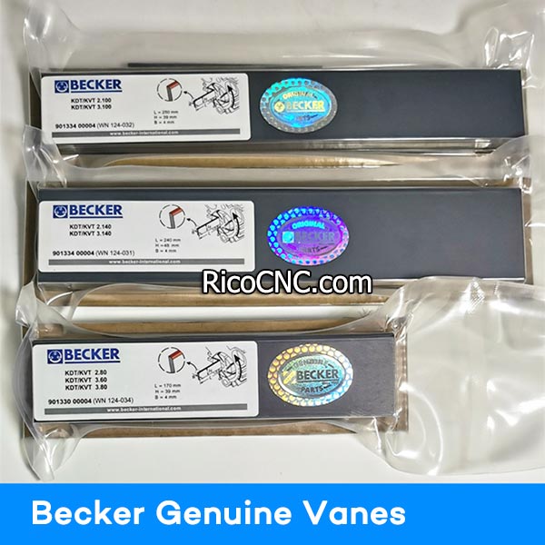 Biesse CNC vacuum pump vanes.jpg