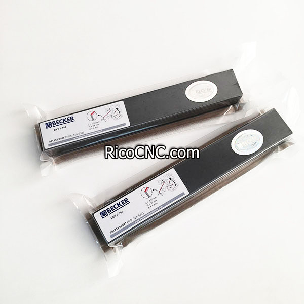 DVT 3.100 Becker pump vanes.jpg