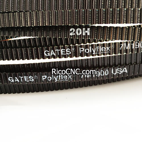 Gates 7M belts.jpg
