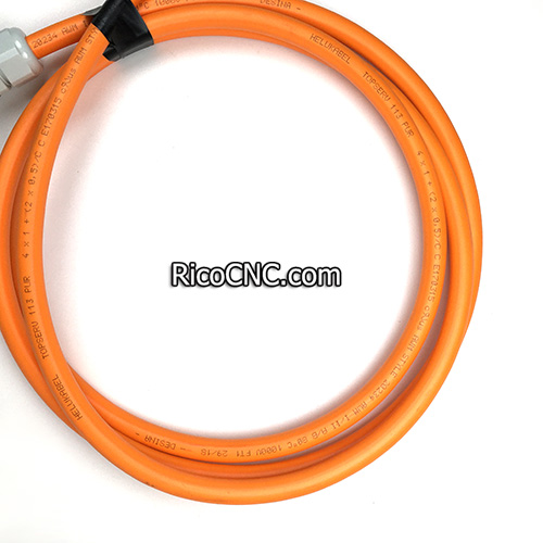 Cable with Homag Brandt plug.jpg