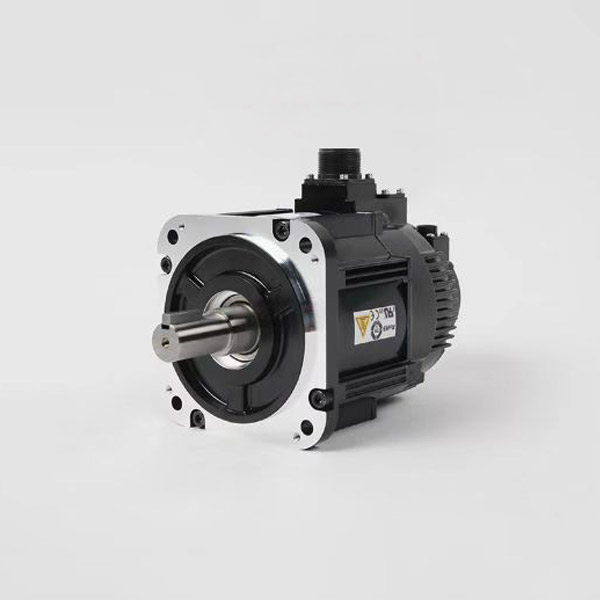 hass servo motor.jpg