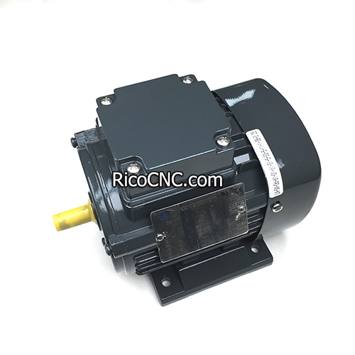 4-075-01-0048 Polishing motor.jpg