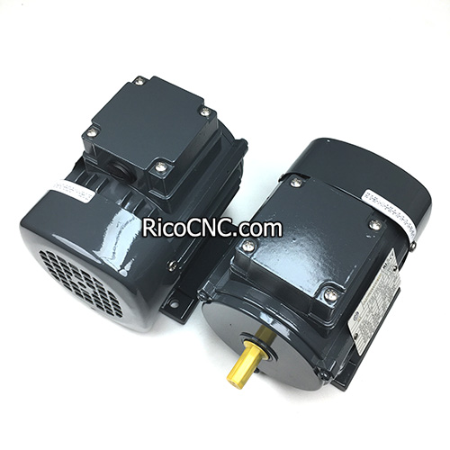 4075010048 AC Motor.jpg