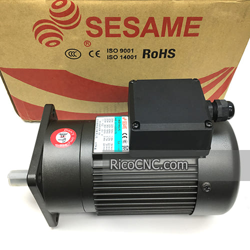 Gear Motor G11V200S-75.jpg