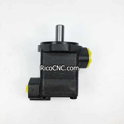 V10 hydraulic vane oump.jpg