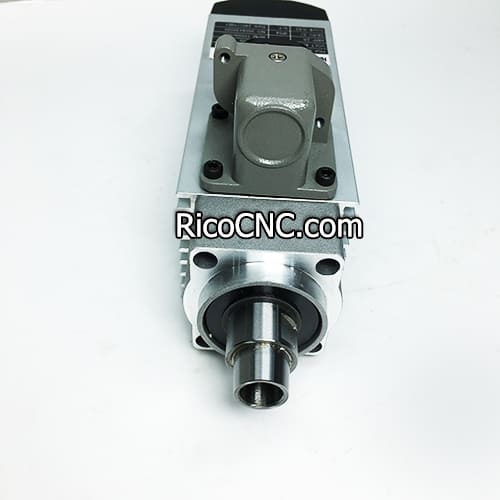 Homag 4075011423 motor.jpg