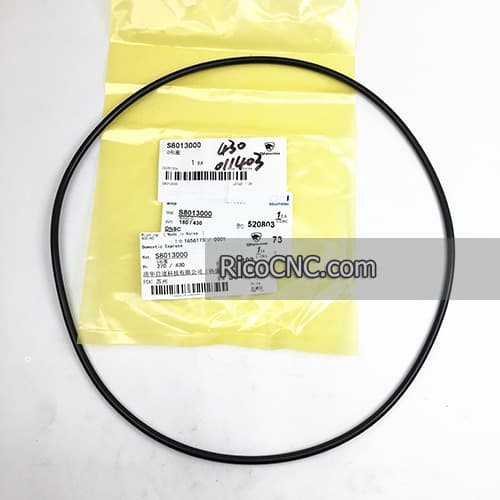 S8013000 O ring.jpg