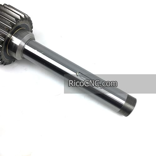 Doosan spur gear.jpg Doosan spur gear.jpg