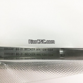 Homag 4-042-01-0081 Paletas Becker 90133000004 WN124-034 para bomba de vacío Becker PICCHIO 2200