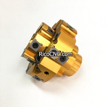 High Quality Adjustable Tenon Cutting Tool Insert Cutter Head for CNC Tenoner Machine