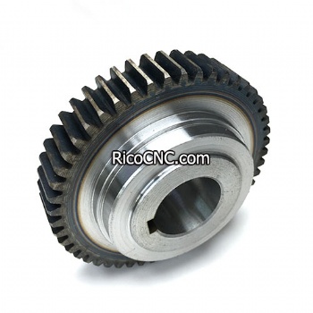 3201260880 Gear 3-201-26-0880 Pinion Carro M2 for Homag Beam Saw HPP230 HPP180