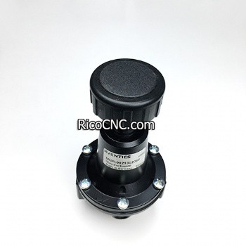 4-011-04-0551 4011040551 Aventics 0821302068 G1/4 Air Pressure Regulator