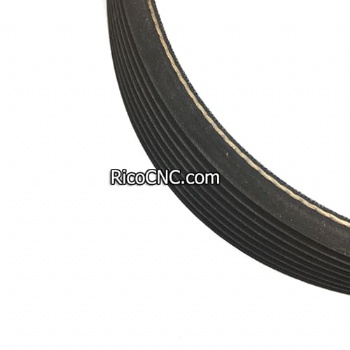 4007010200 4-007-01-0200 Poly-V Belt L8 L1270 for HOMAG HPP180