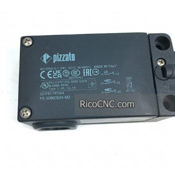 Final de carrera de puerta de seguridad Pizzato FS 3096D024-M2