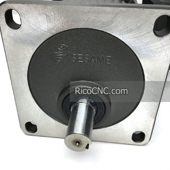 SESAME 200W Precision Gear Motor G11V200S-75