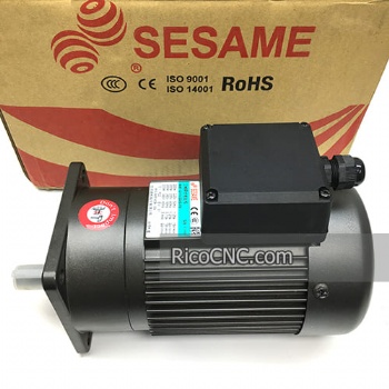 SESAME 200W Precision Gear Motor G11V200S-75