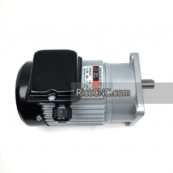 LUSON Gear Motor J220V18-200-20-CE2(Y)