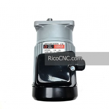 LUSON Gear Motor J220V18-200-20-CE2(Y)