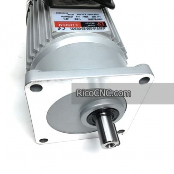 LUSON Gear Motor J220V18-200-20-CE2(Y)